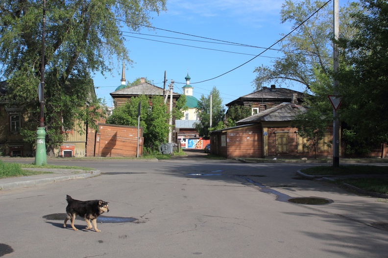 Пёс и снесённый впоследствии домик на Энгельса 29/4