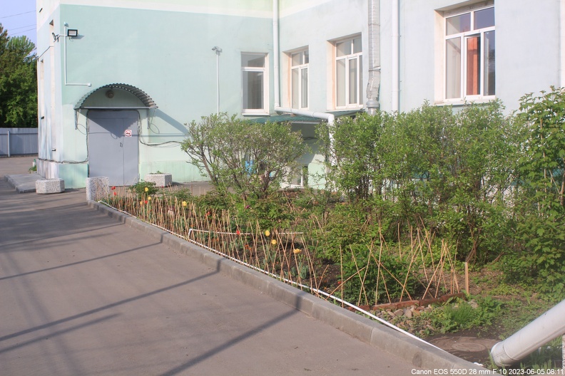 Клумба во дворе общежития в 2023 году