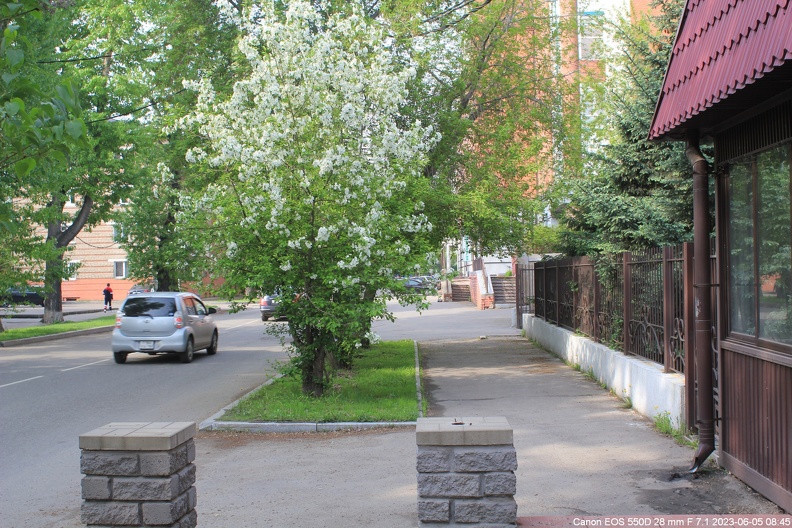 Улица Красногвардейская в 2023 году