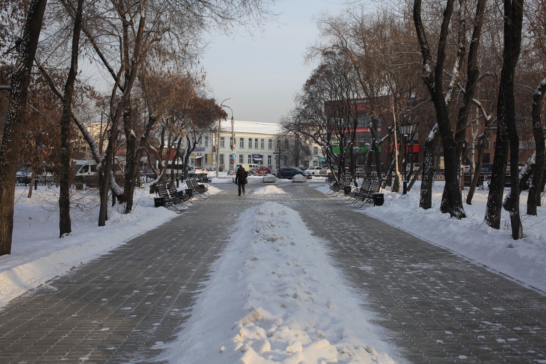 Аллея сквера Волконских в 2019 году