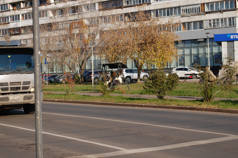 Люди качаются на качели и любуются резными домами