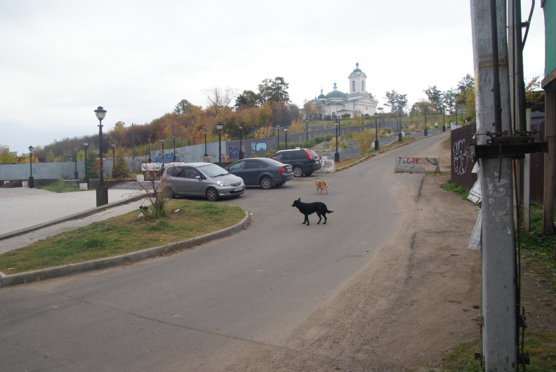 Вид на иркутскую потёмкинскую лестницу сбоку