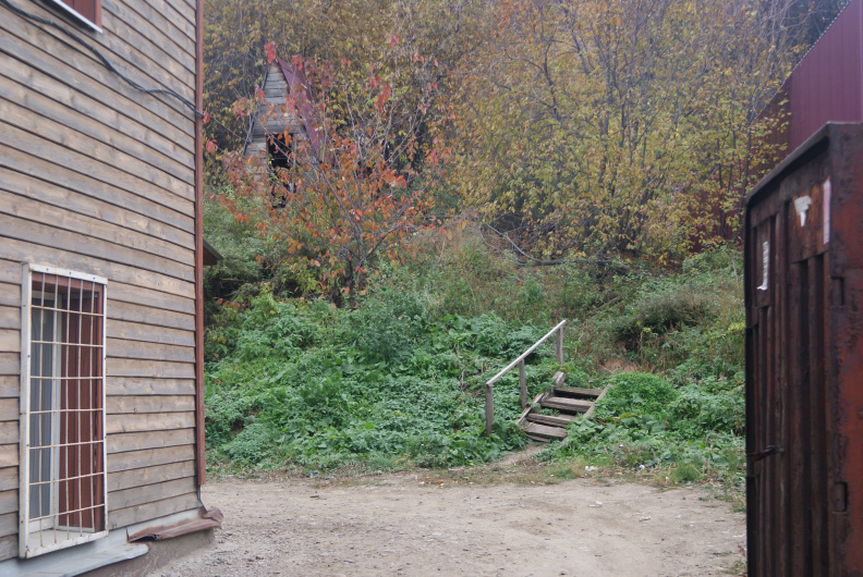 Туалет типа сортир в кустах на горе