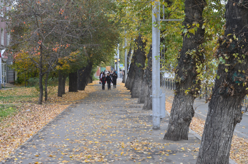 Улица Декабрьских Событий осенью.jpg