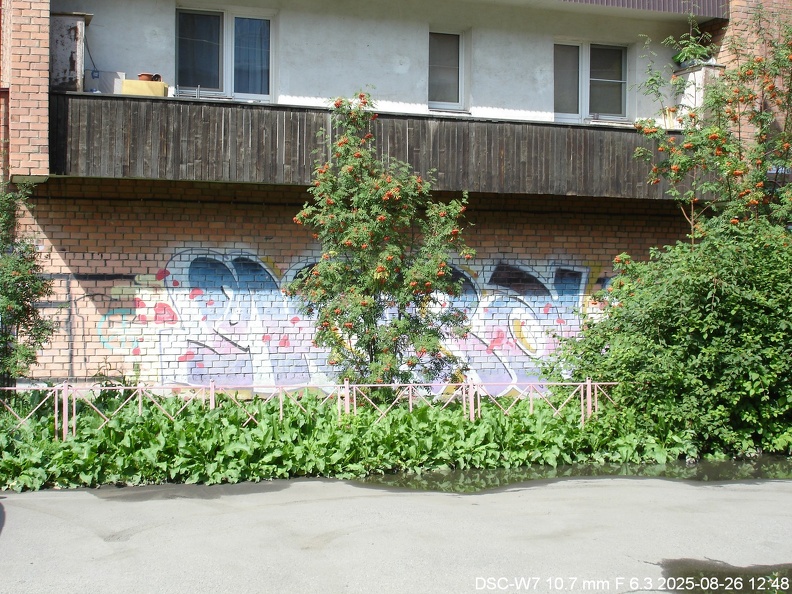 Граффити на Энгельса