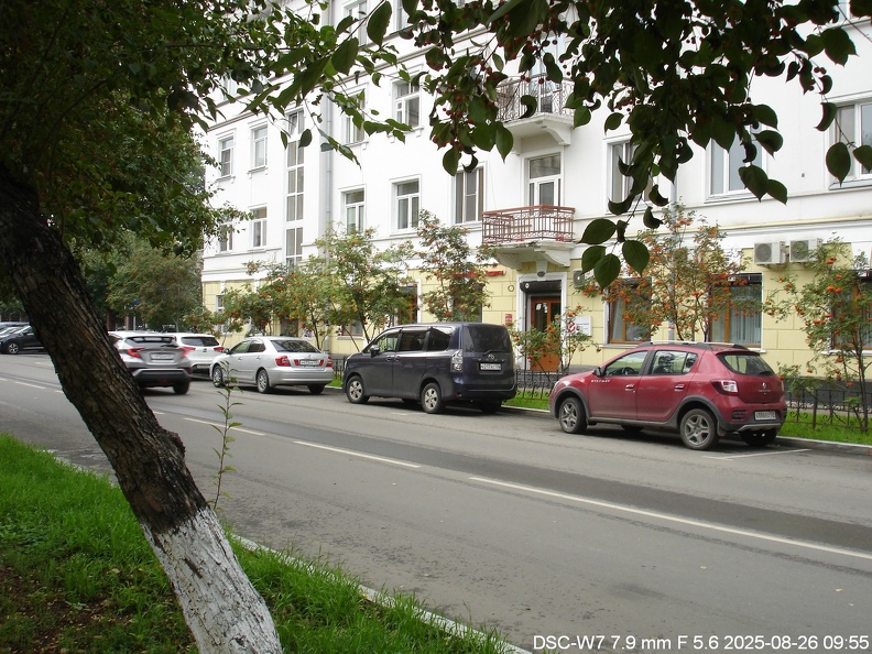 Рябина на Володарского