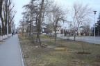 Сквер возле бумеранга