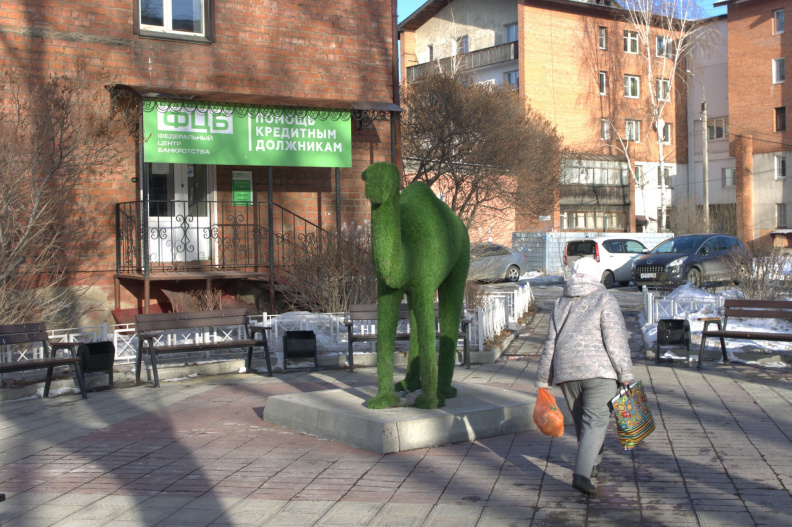 Ещё целый верблюд.jpg